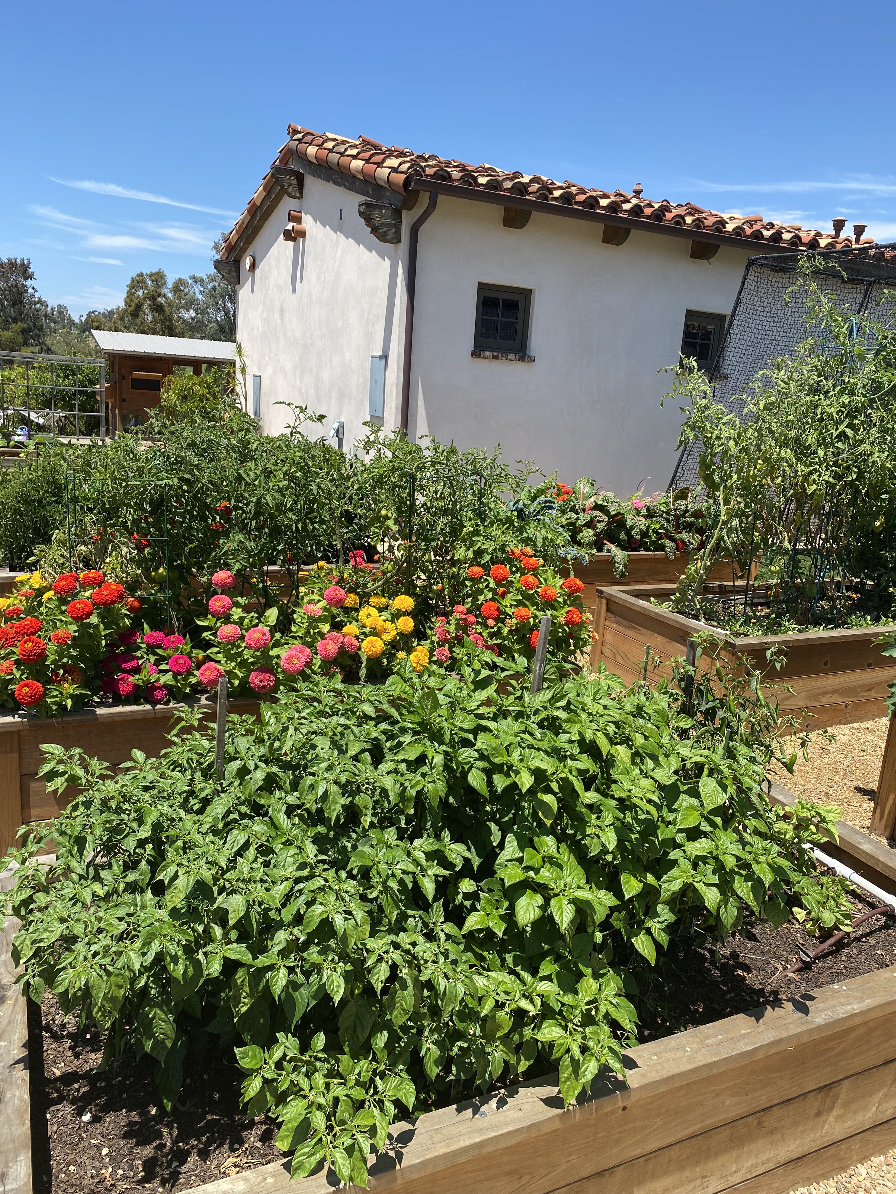 San Elijo Raised Garden Beds and Coop