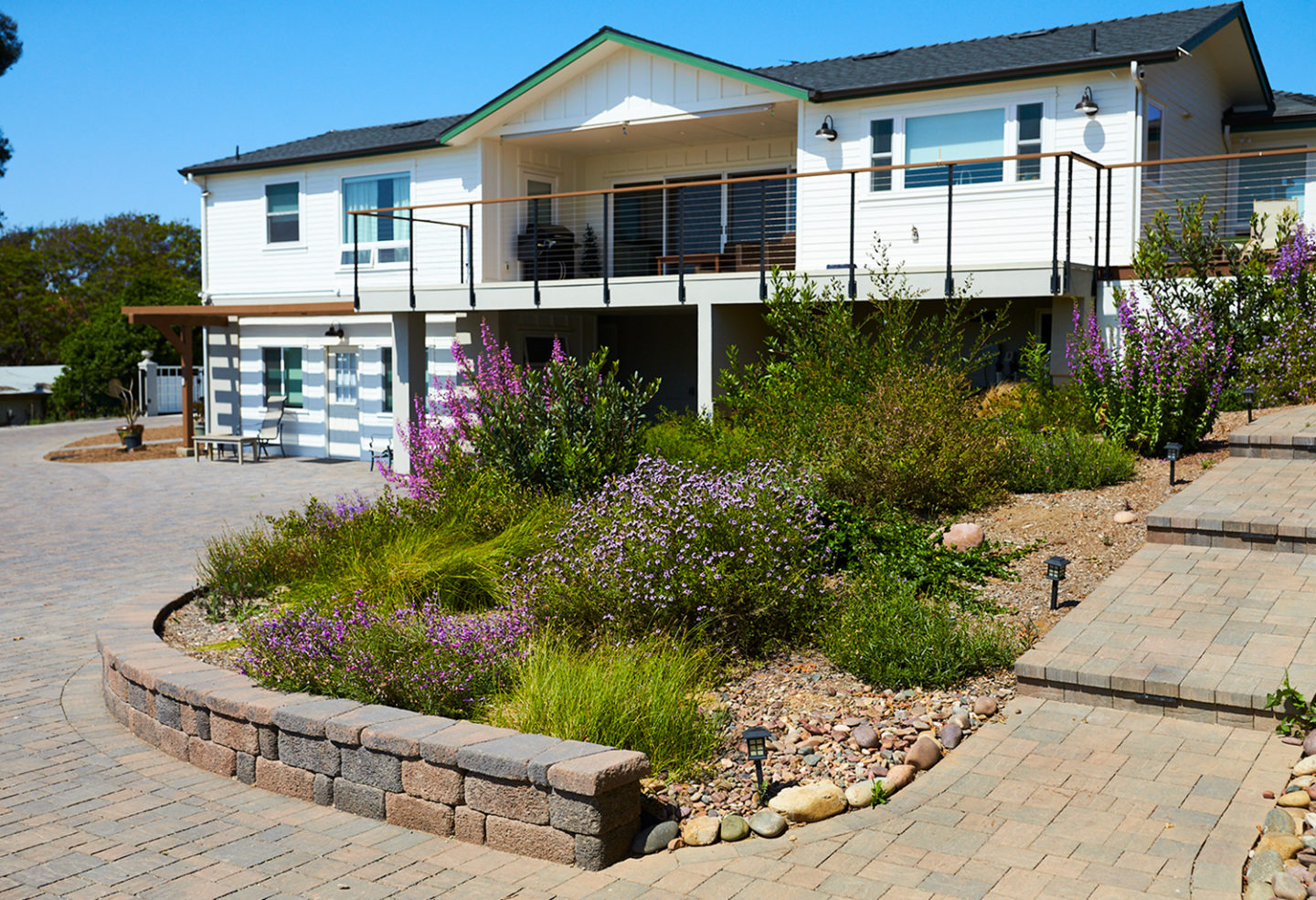 What is a Drought Tolerant Garden?