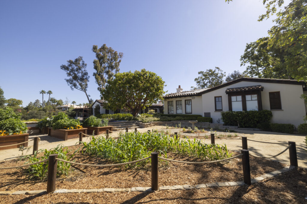 View of a residential backyard farm